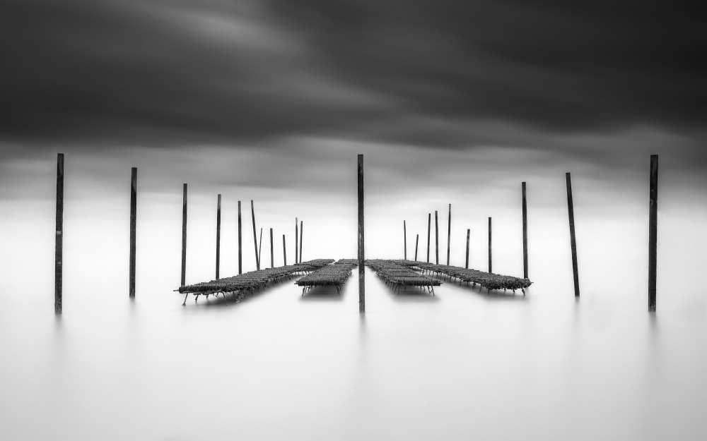 The Oyster Bar à Christophe Staelens