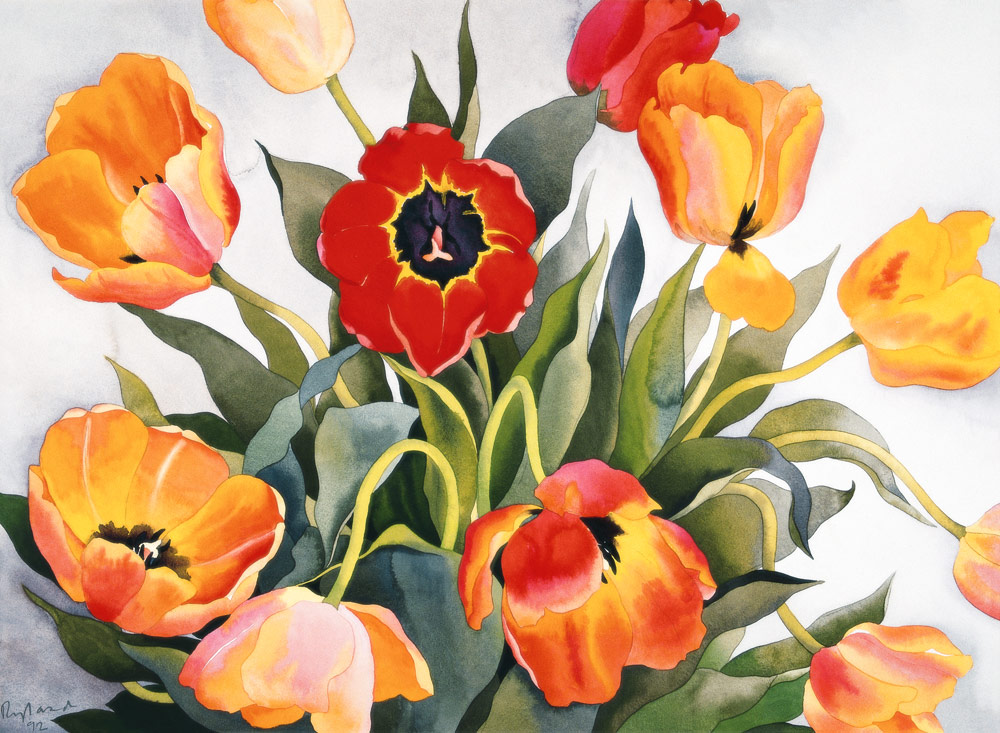 Orange and Red Tulips (w/c)  à Christopher  Ryland