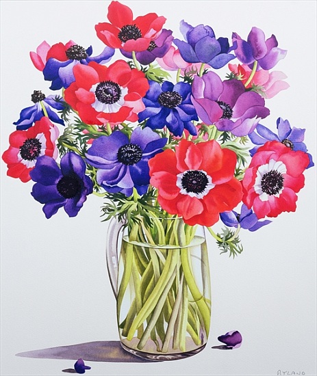 Anemones in a glass jug à Christopher  Ryland