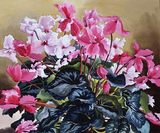 Cyclamen - Christopher Ryland en reproduction imprimée ou copie peinte à  l\'huile sur toile