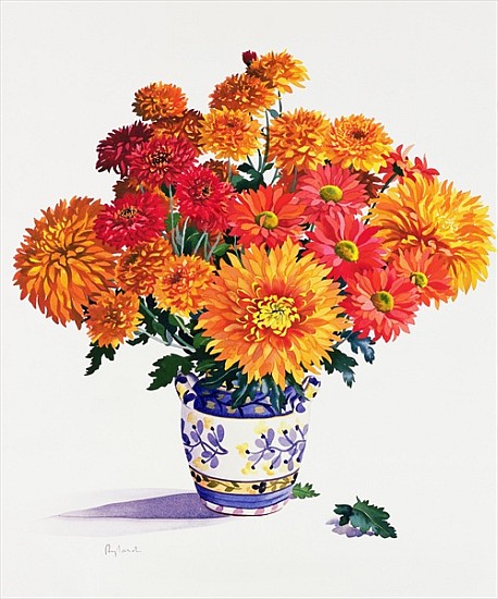 October Chrysanthemums (w/c on paper)  à Christopher  Ryland