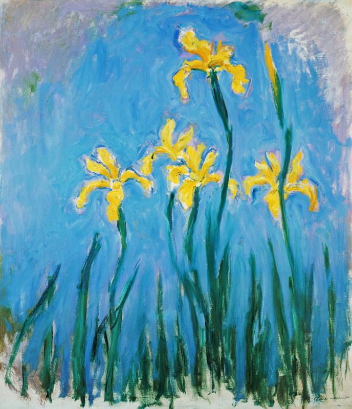 iris jaune. à Claude Monet