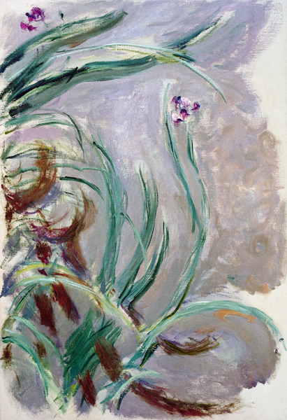 Iris à Claude Monet