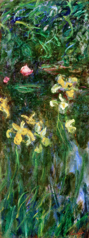 iris jaunes. à Claude Monet