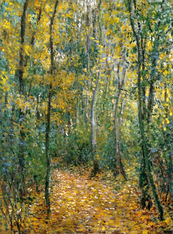 “Sous-bois” (Unterholz), Montgeron à Claude Monet