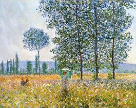 Champs au printemps - Claude Monet