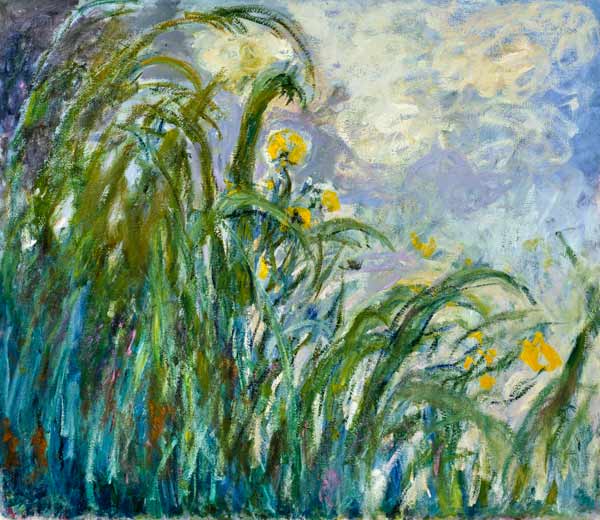 The Yellow Iris à Claude Monet