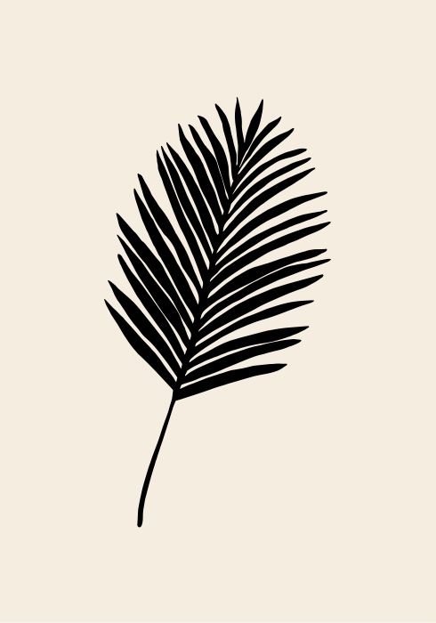 Black Palm à Graphic Collection
