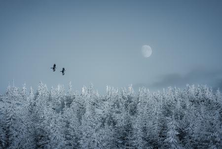 Frozen moon