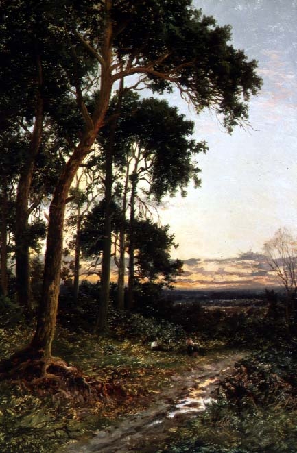 The Woodland Path  à Daniel Sherrin