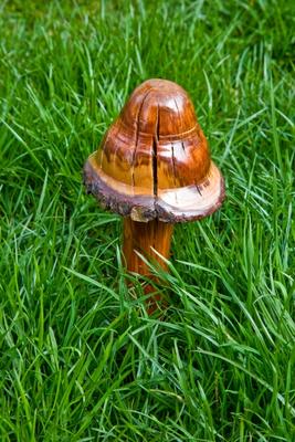 Wooden Mushroom à Dave Frederick