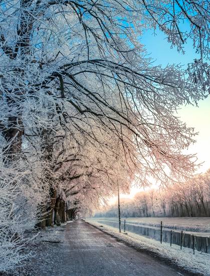 Weißer Winterwald an der Weißen Elster im Winter