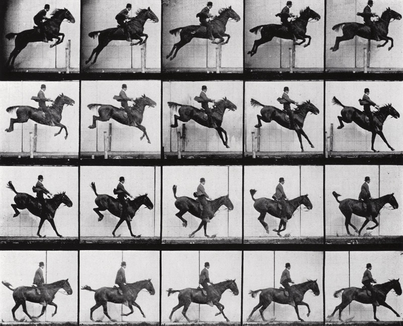 Man and Horse jumping, from ''Animals in Motion'' by Muybridge, London, published 1907 (b/w photo)  à Eadweard Muybridge