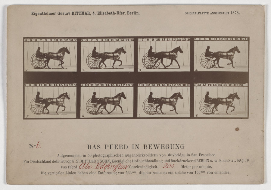 Das Pferd in Bewegung à Eadweard Muybridge