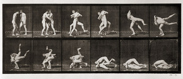 Two Men Wrestling, plate 347 from ''Animal Locomotion'', 1887 (b/w photo)  à Eadweard Muybridge