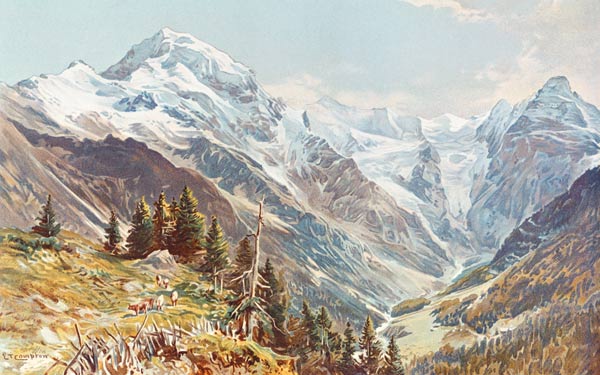 Ortler (Tyrol du Sud) à Edward Thomas Compton