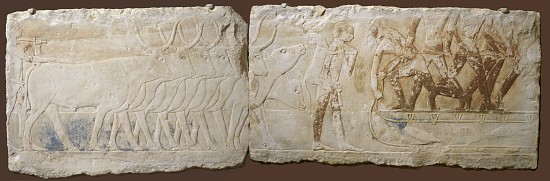 Relief of Peasants Driving Cattle and Fishing, Old Kingdom, 2450-2290 BC à École égyptienne