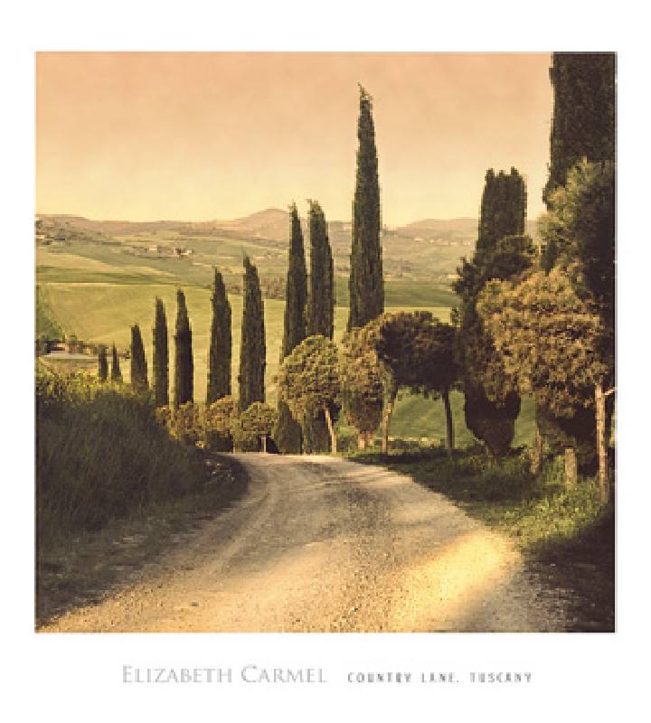 Country Lane, Tuscany à Elizabet Carmel