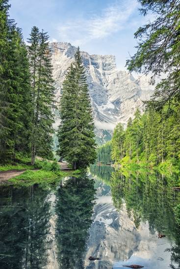 Lake In Summer