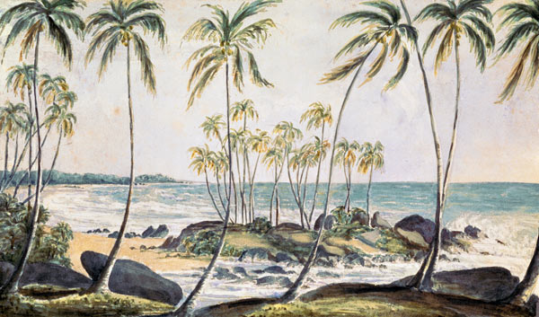 Kosgoda Beach, Ceylon à École anglaise de peinture