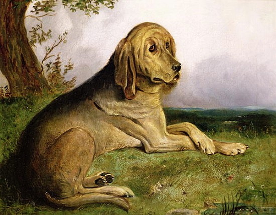 A Bloodhound in a Landscape à École anglaise de peinture