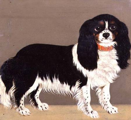 A Cavalier King Charles Spaniel with Puppies (pair of 64046) à École anglaise de peinture