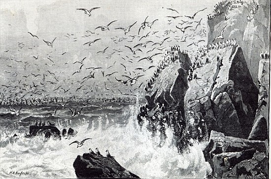 The Haunt of the Gulls, from ''Leisure Hour'' à École anglaise de peinture