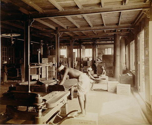 Tea pickers at the Lipton factory in Ceylon, c.1900 (photo) à Ecole anglaise, (20ème siècle)