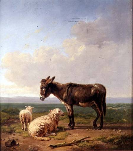 Ass and Sheep à Eugène Joseph Verboeckhoven