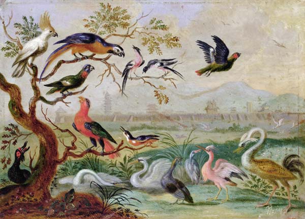 Birds from the Four continents in a landscape with a view of Peking in the background à Ferdinand van Kessel