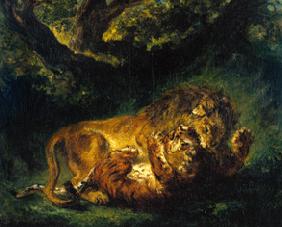 Lutte entre le lion et le tigre