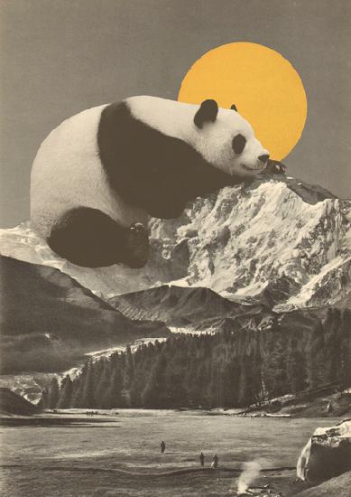 Les pandas font la sieste en montagne