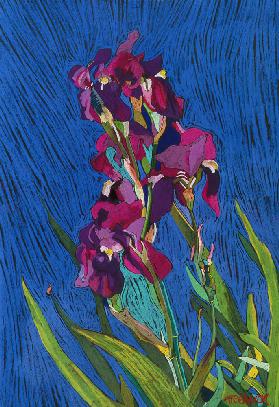 Irises