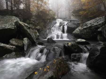 Autumn fog