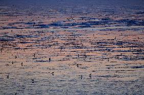 Wattenmeer bei Norddeich