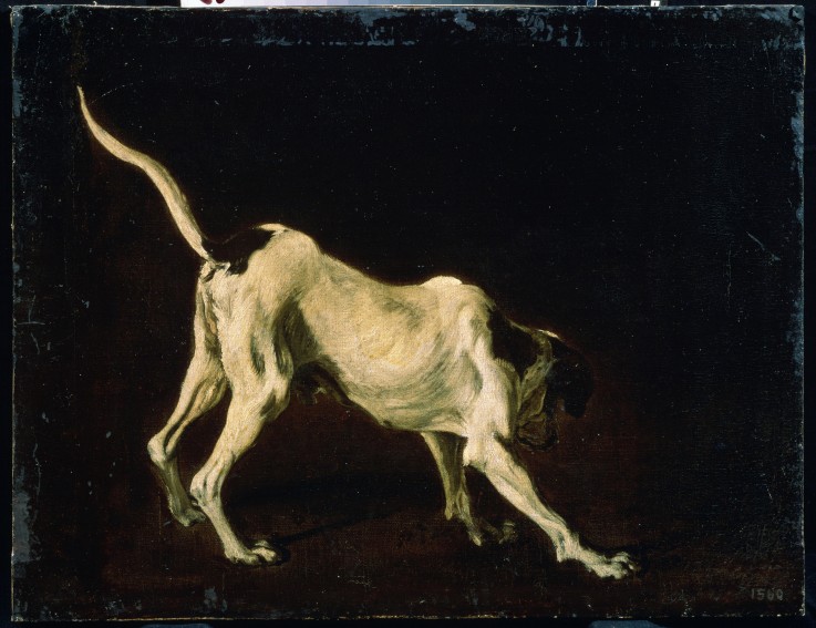 A dog à Frans Snyders