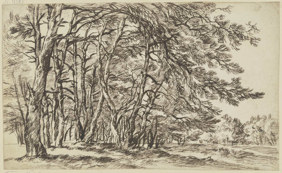 Thick group of trees à Franz Innocenz Josef Kobell
