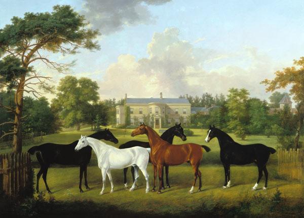 Cinq chevaux de course devant une maison de campagne anglaise.