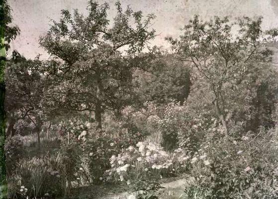 View of Giverny, Monet's Garden, early 1920s (photo) à Photographe français (20ème siècle)