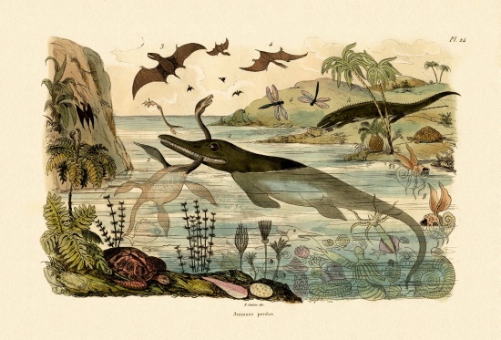 Prehistoric animals à École française, (19ème siècle)