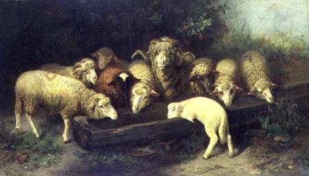 The Sheep Trough à Friedrich Ferdinand Schmalzigaug