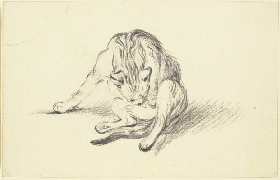 Grooming cat à Friedrich Wilhelm Hirt
