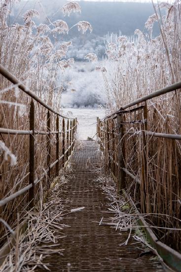 Freezing morning in Dvorniky - Vcelare, Slovakia