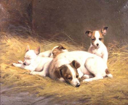 A Terrier with Three Puppies à Gabrielle Rainer-Istuanty