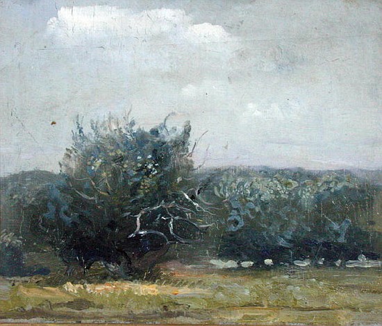 Apple Tree Field (oil on canvas)  à Gail  Schulman