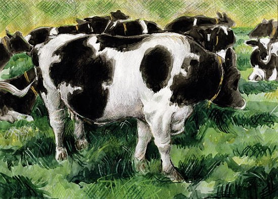 Friesian Cows (w/c)  à Gareth Lloyd  Ball