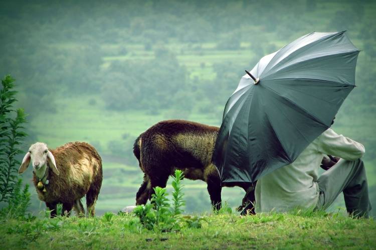 Lavasa Rain à Gaurav Patil