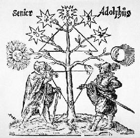 Alchemical Tree, Diagrammatic and Emblematic, from 'Museum Hermeticum' by Thomas Norton (1749) illus