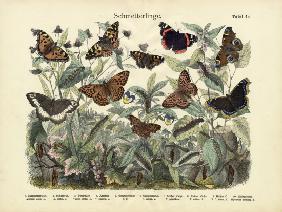 Butterflies, c.1860