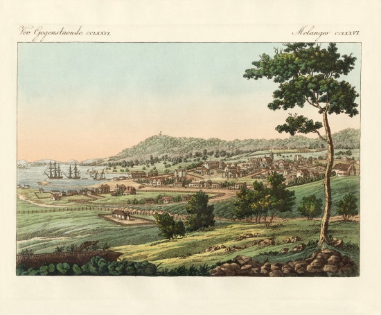 Hobart Town at Van Diemens Land à École allemande, (19ème siècle)